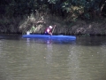 DSCF8530