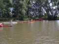 carnozice-17