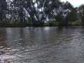 carnozice-4