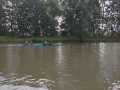 carnozice-8