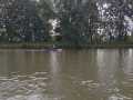 carnozice-9
