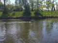 hradec-15
