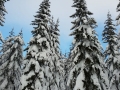 IMG-20190120-WA0002