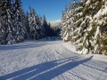 IMG-20190121-WA0039