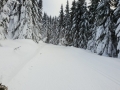 IMG-20190121-WA0045