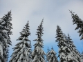 IMG-20190121-WA0048