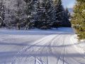 IMG_20220125_102201