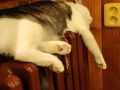 IMG_20220125_163757