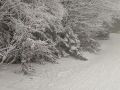 IMG_20220127_100456