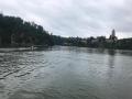 zvikov-18